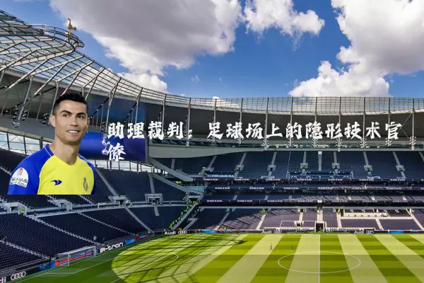 助理裁判：足球场上的隐形技术官僚