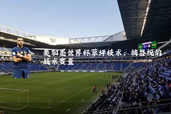 美加墨世界杯草坪技术:被忽视的战术变量